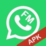 FMWhatsapp APK